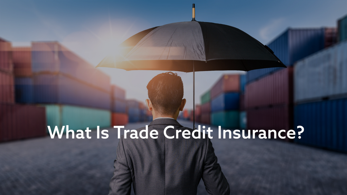 Understanding Trade Credit Insurance: What It Means for Your Business