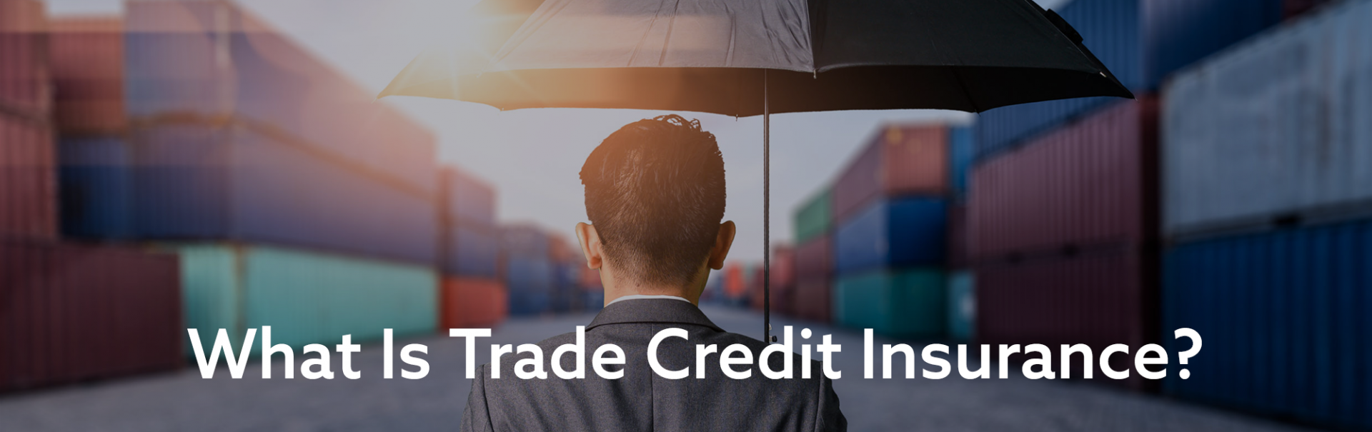 Understanding Trade Credit Insurance: What It Means for Your Business